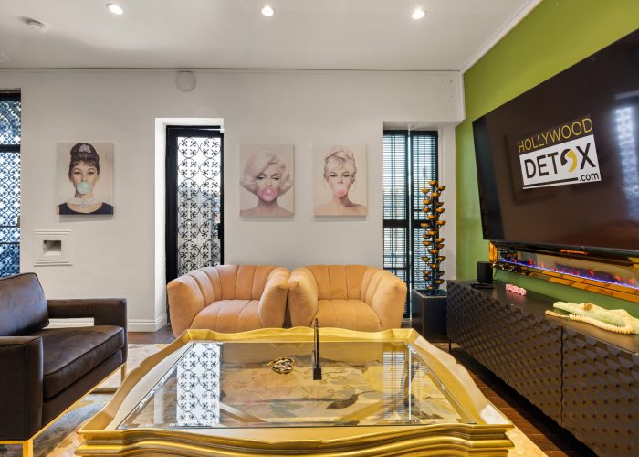 Stylish modern living room 2